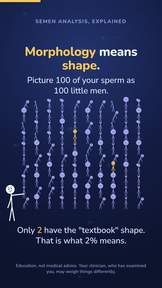 Still from the Short: a stick figure looks at a report reading morphology 2%